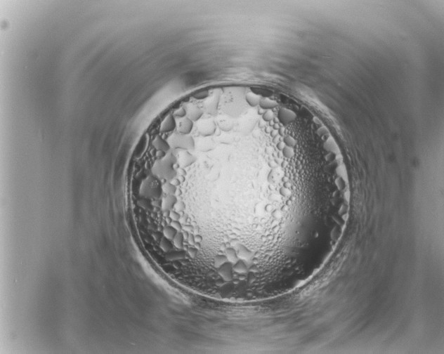 X0000060771479200511141244