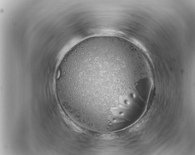 X0000060771480200511141244