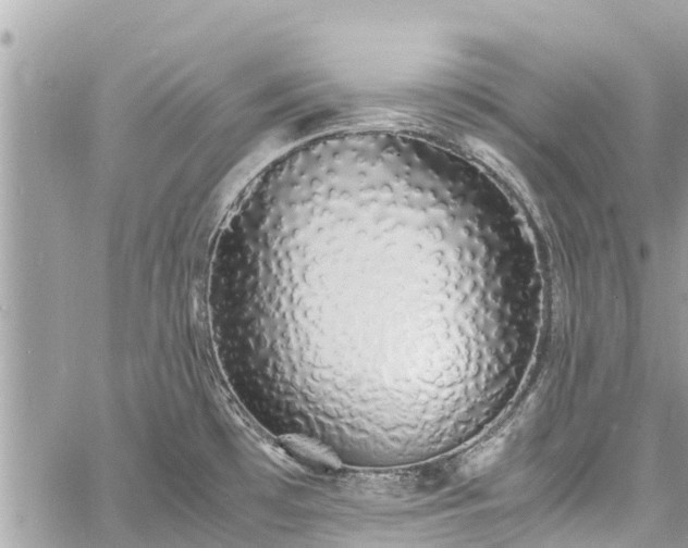 X0000060771481200511141244