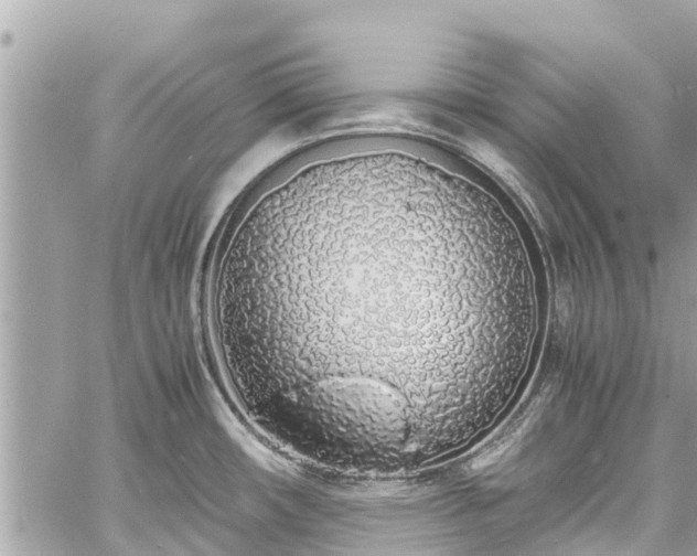 X0000060771482200511141244