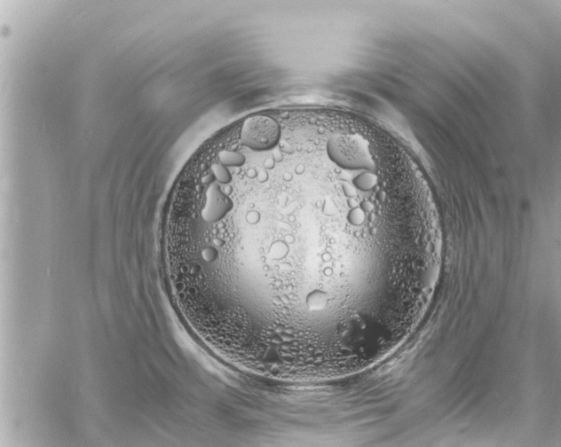 X0000060771483200511141244