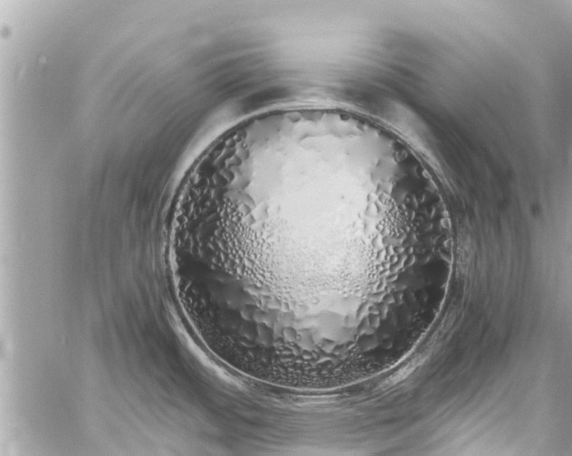 X0000060771484200511141244