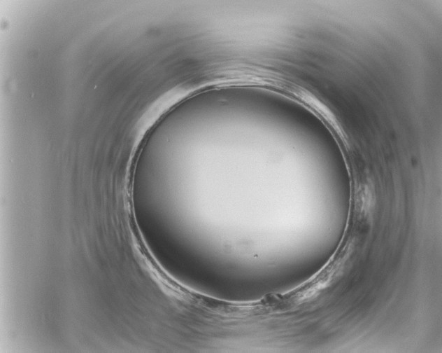 X0000060771485200511141244