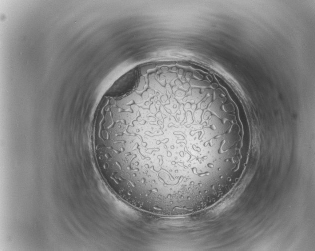 X0000060771486200511141244