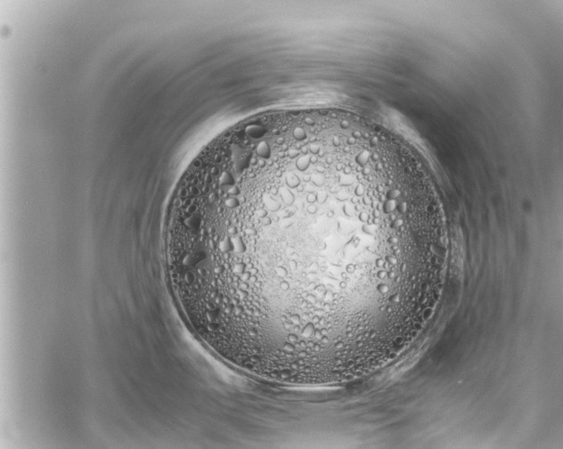 X0000060771487200511141244