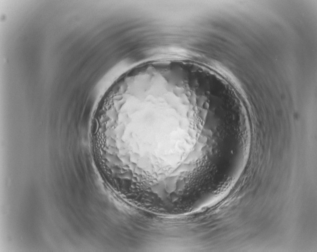 X0000060771488200511141244