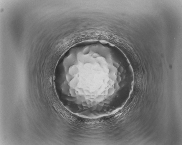 X0000060771489200511141243