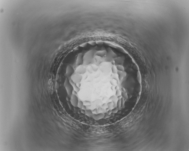 X0000060771493200511141243