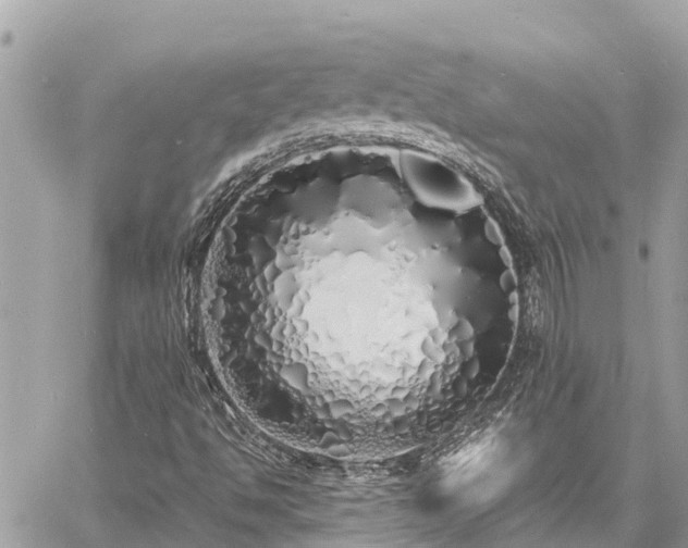 X0000060771494200511141243