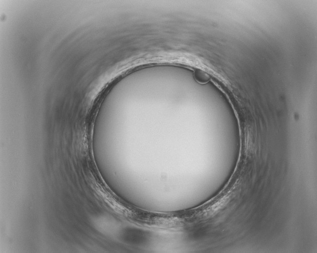 X0000060771498200511141243