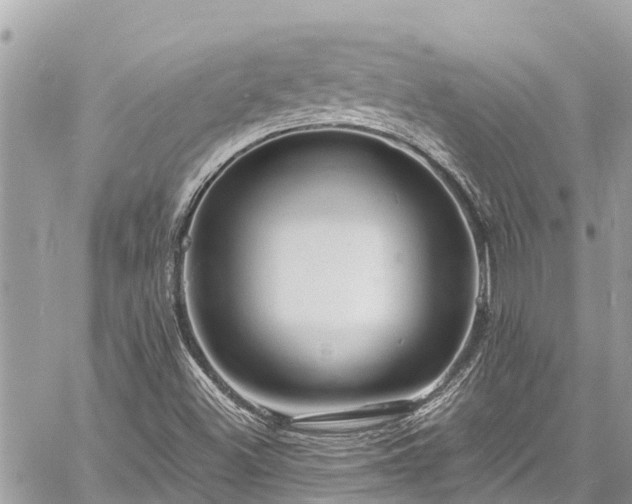 X0000060771500200511141243