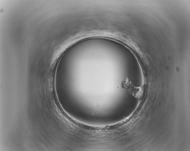 X0000060771504200511141244