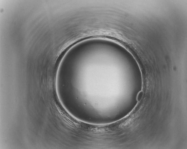 X0000060771505200511141244