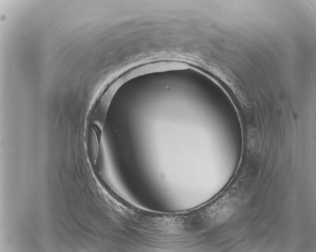 X0000060771508200511141244