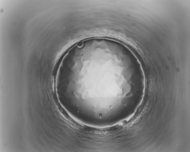 X0000060771509200511141244