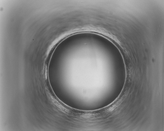 X0000060771510200511141244