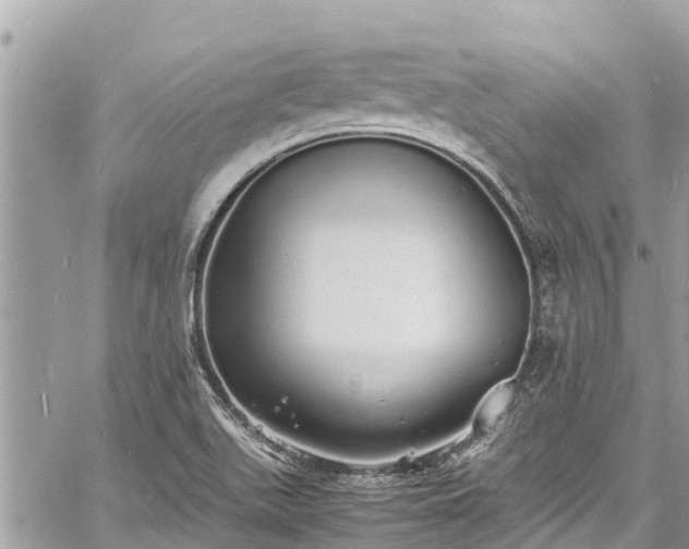 X0000060771511200511141244