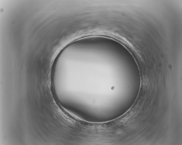 X0000060771512200511141244