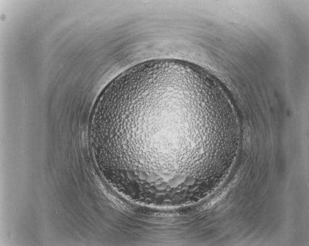 X0000060771513200511141244