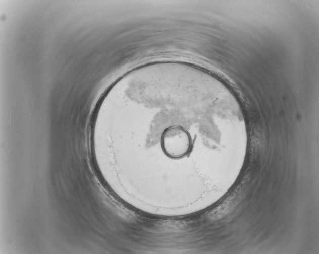 X0000060771514200511141244