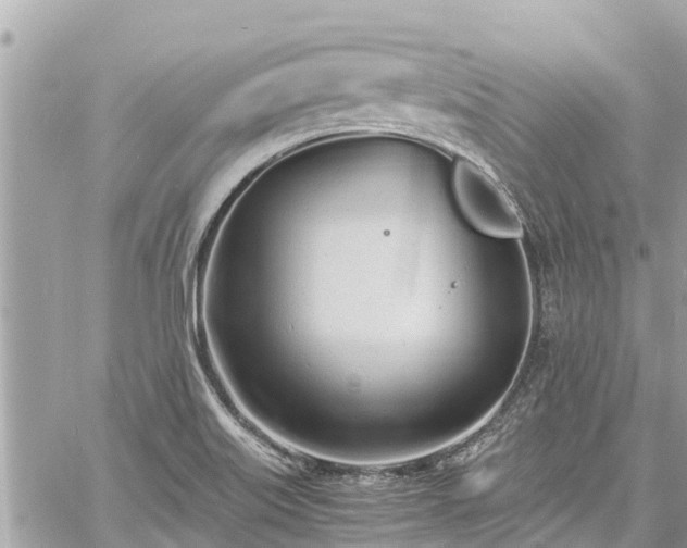 X0000060771515200511141244