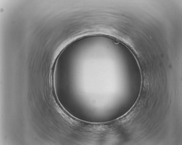 X0000060771516200511141244