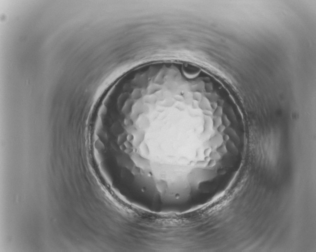 X0000060771517200511141244