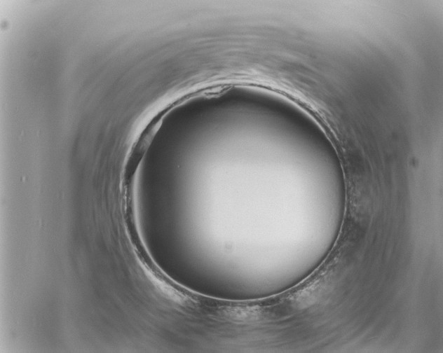 X0000060771519200511141244