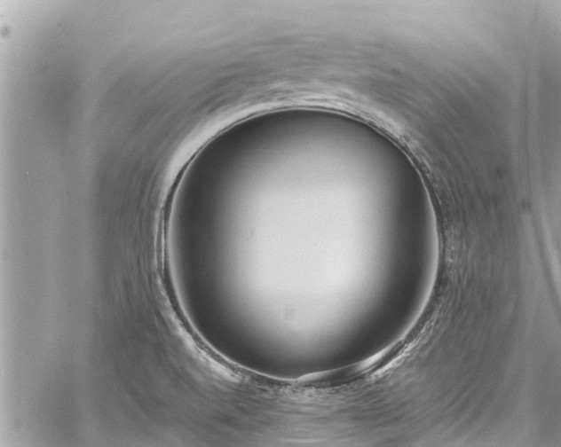 X0000060771520200511141244