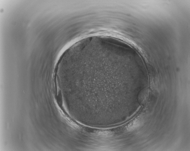 X0000060771522200511141244