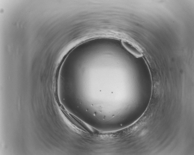 X0000060771523200511141244