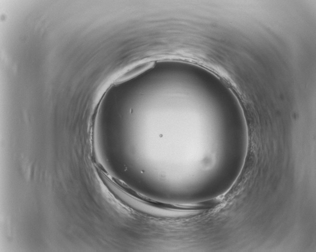 X0000060771524200511141244