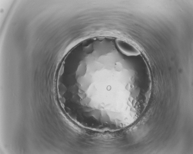 X0000060771525200511141244