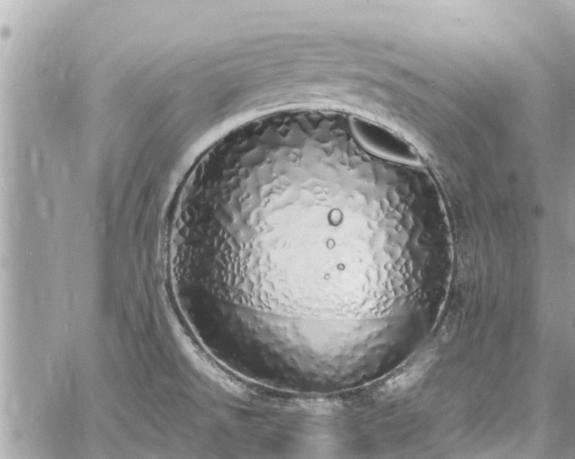 X0000060771526200511141244