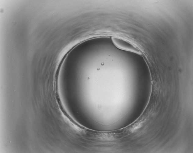 X0000060771527200511141244