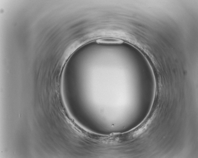 X0000060771529200511141244