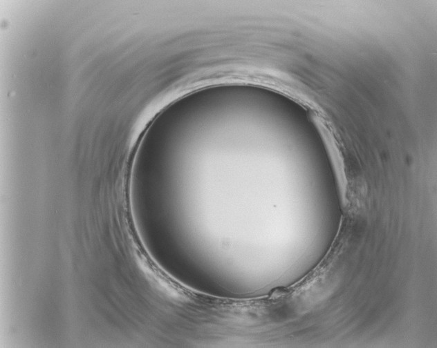 X0000060771530200511141244