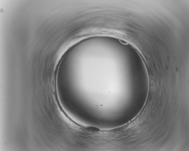 X0000060771531200511141244