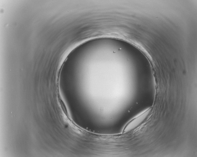 X0000060771532200511141244