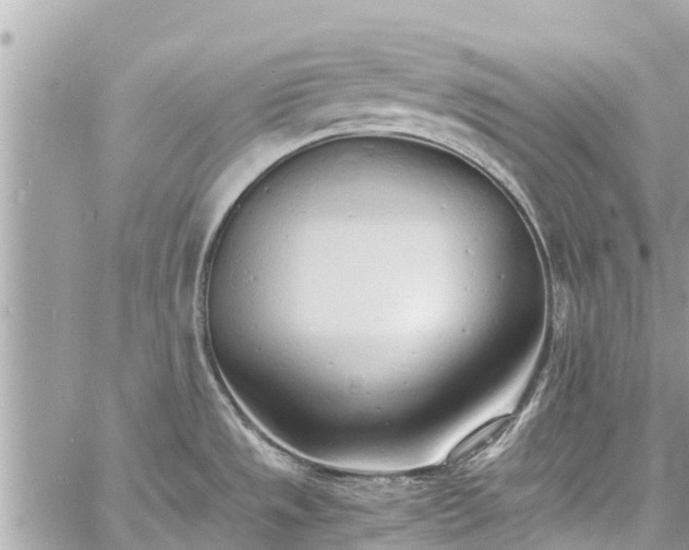 X0000060771533200511141244