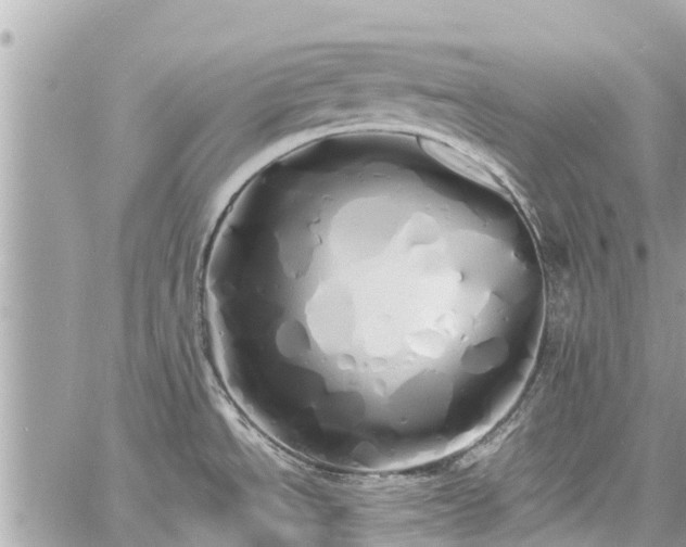 X0000060771534200511141244