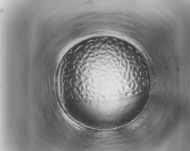 X0000060771535200511141244