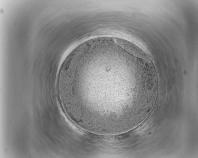 X0000060771536200511141244