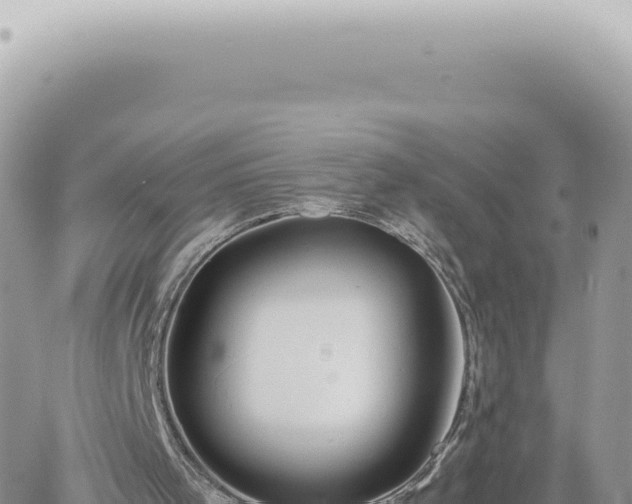 X0000060770001200511171225