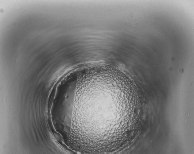 X0000060770002200511171225