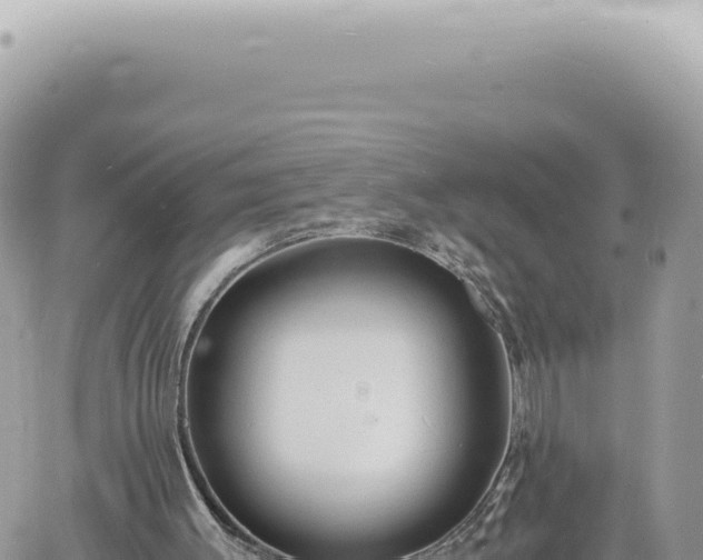 X0000060770003200511171225