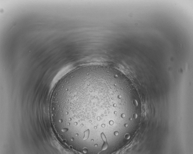 X0000060770004200511171225