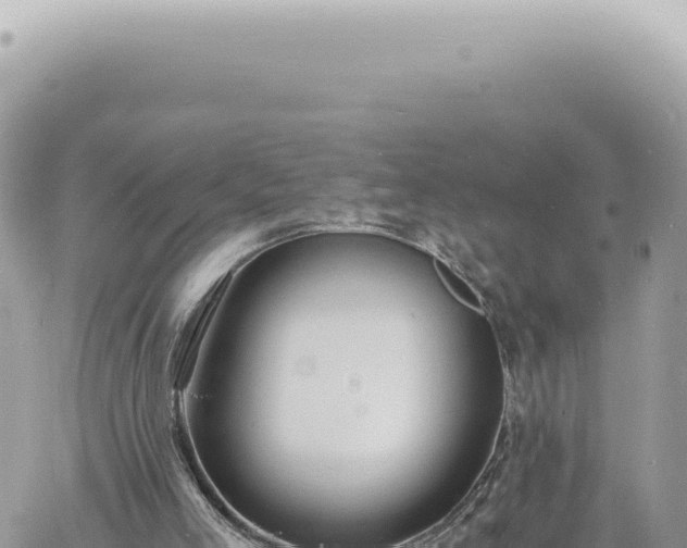 X0000060770005200511171225