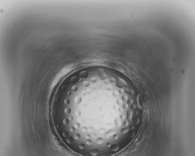 X0000060770006200511171225