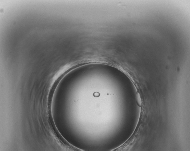 X0000060770008200511171225